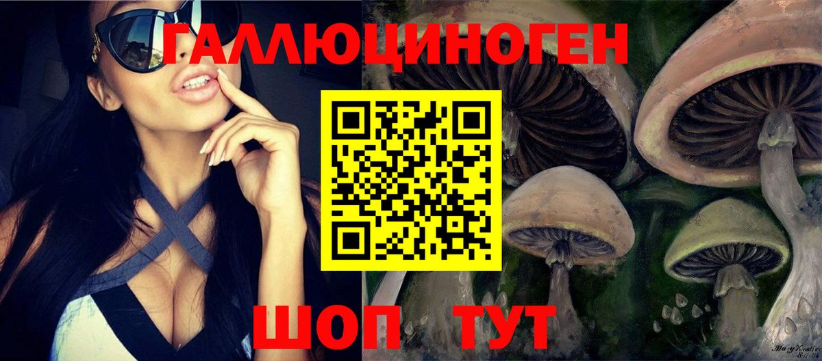 Асино  Галлюциногенные грибы Cubensis  Вход с VPN  Псилоцибиновые грибы ЛСД 