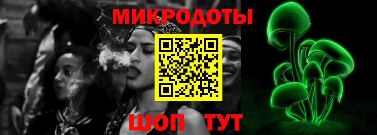 Псилоцибиновые грибы мицелий Асино
