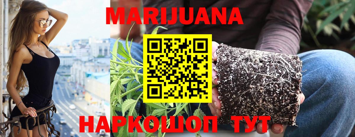 Бошки марихуана индика  Канабис план  Асино  Вход с VPN 